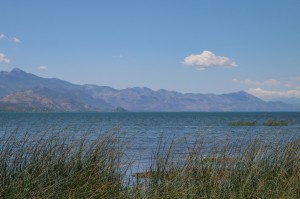 Albania, Lake Skadar