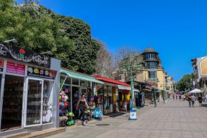 Burgas (48) 