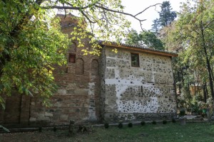 Sofia Boyana Church 10 