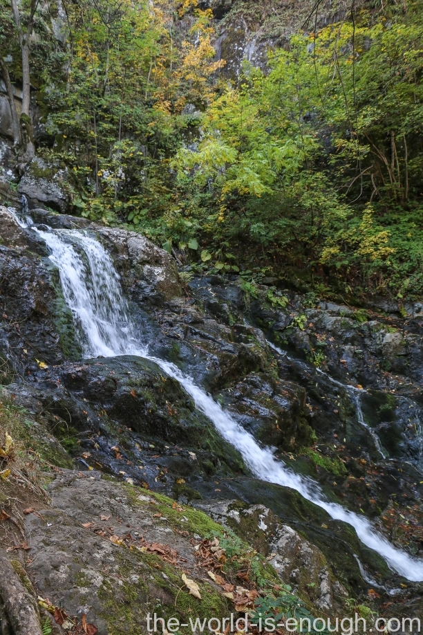 Boyana waterfall track