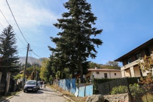 Sofia Boyana Waterfall (01) 