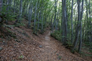 Sofia Boyana Waterfall (02) 