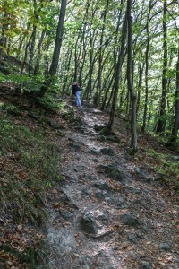 Sofia Boyana Waterfall (03) 