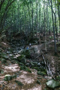 Sofia Boyana Waterfall (04) 