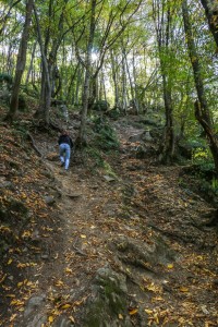 Sofia Boyana Waterfall (08) 