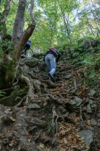 Sofia Boyana Waterfall (11) 