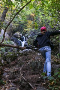 Sofia Boyana Waterfall (15) 