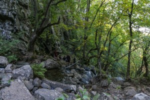 Sofia Boyana Waterfall (22)