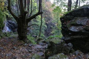 Sofia Boyana Waterfall (24)