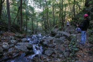 Sofia Boyana Waterfall (26)