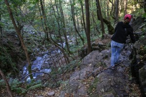 Sofia Boyana Waterfall (27)