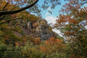Sofia Boyana Waterfall (29)