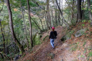 Sofia Boyana Waterfall (30)
