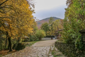 Dragalevtsi Monastery  (45) 