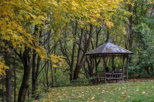 Dragalevtsi Monastery  (46) 