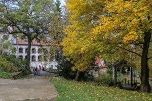 Dragalevtsi Monastery  (48) 