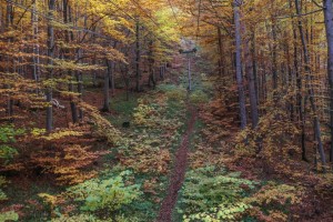 dragalevski lift (08)        