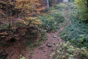 dragalevski lift (21)        