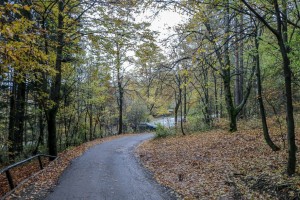 dragalevski lift (54)    