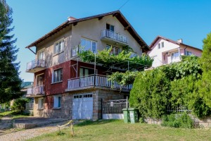 Vitosha, Golden Bridge (99c)         