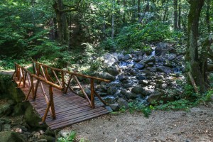 Vitosha, Golden Bridge (11)         