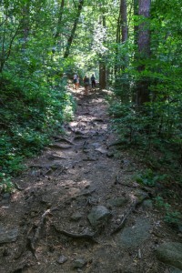 Vitosha, Golden Bridge (12)         