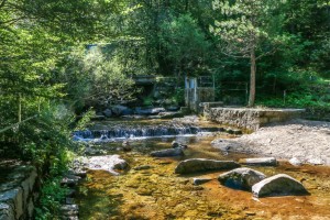 Vitosha, Golden Bridge (22)         