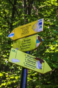 Vitosha, Golden Bridge (24)     