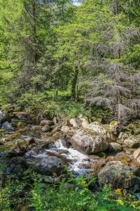 Vitosha, Golden Bridge (27)   