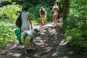 Vitosha, Golden Bridge (36)  