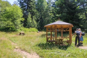 Vitosha, Golden Bridge (39)  