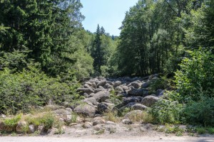 Vitosha, Golden Bridge (43)  
