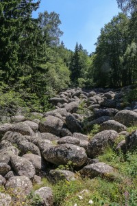 Витоша. Золотой мост. Vitosha. Golden bridge