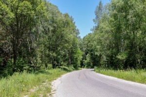 Vitosha, Golden Bridge (56)  