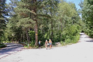 Vitosha, Golden Bridge (59)  