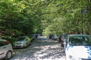 Vitosha, Golden Bridge (69) 