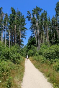 Vitosha, Golden Bridge (84) 