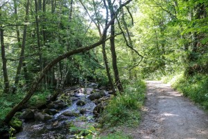 Vitosha, Golden Bridge (98) 