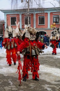 Breznik Surva 2017 (07) (1) 