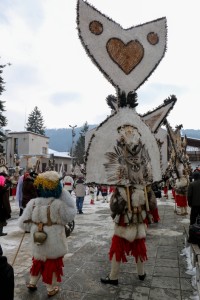 Breznik Surva 2017 (09a) 