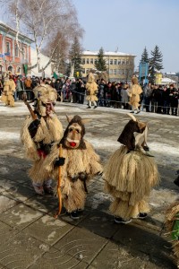 Breznik Surva 2017 (27)