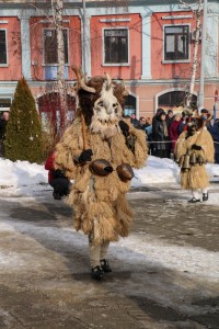 Breznik Surva 2017 (29)