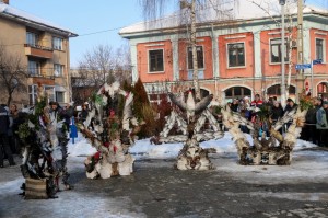 Breznik Surva 2017 (51)