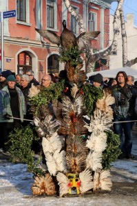 Breznik Surva 2017 (53)