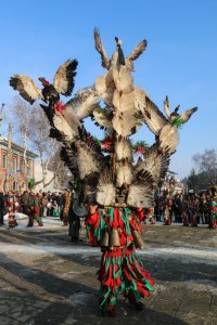Breznik Surva 2017 (55)