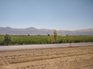 Iranian Buses  (09) 