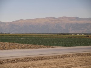 Iranian Buses  (10) 