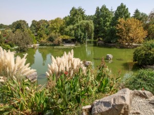 Flower Garden (05)   