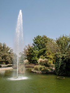Flower Garden (06) 