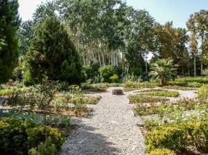Flower Garden (08)   